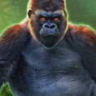 Jocuri ca la aparate cu maimute: Epic Ape