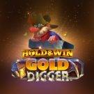 Jocuri pacanele: Gold Digger