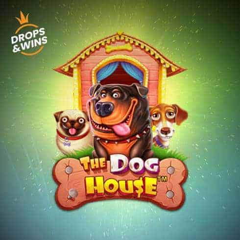 Jocuri ca la aparate: The Dog House