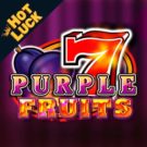 Jocuri ca la aparate: Purple Fruits