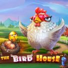 The Bird House – pacanele online