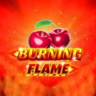 Pacanele gratis online: Burning Flame