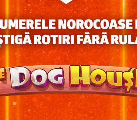 66 de Rotiri Gratuite Cash la The Dog House
