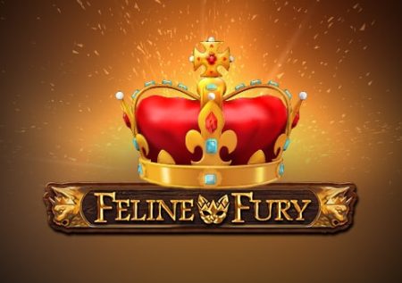 Aparate gratis: Feline Fury