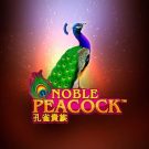 Pacanele Novomatic: Noble Peacock
