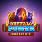 Pacanele jackpot: Buffalo Power Hold and Win