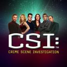 Pacanele online: CSI