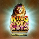 Aparate online: King Of Cats