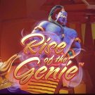 Aparate online: Rise of the Genie