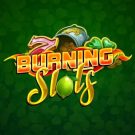 Jocul ca la aparate: Burning Slots
