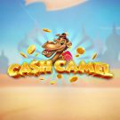 Jocul ca la aparate: Cash Camel