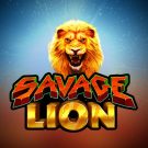 Jocul ca la aparate: Savage Lion
