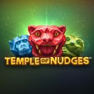 Jocul ca la aparate: Temple of Nudges