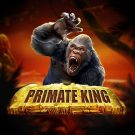Pacanele gratis: Primate King