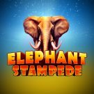 Pacanele jackpot: Elephant Stampede