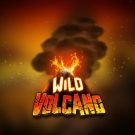 Jocul ca la aparate: Wild Volcano