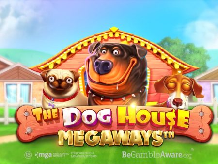 40 Rotiri Gratuite la Doghouse Megaways