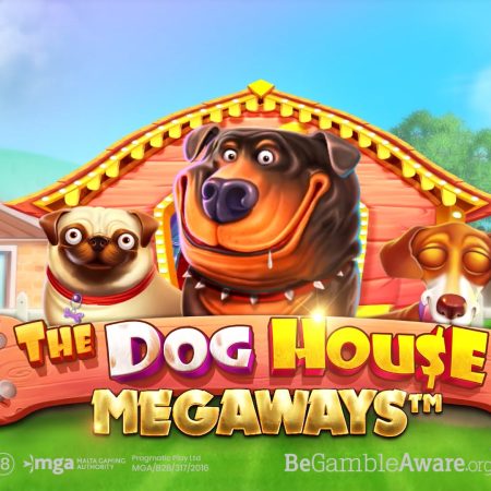 40 Rotiri Gratuite la Doghouse Megaways