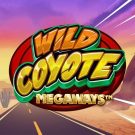 Aparate gratis: Wild Coyote Megaways