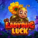 Joc de cazino gratis: Ladybug Luck