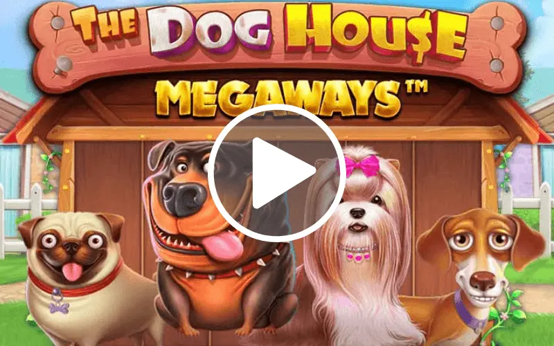 Top jocuri la care poti cumpara speciala The Dog House Megaways