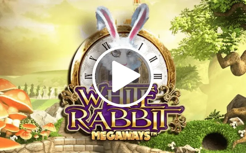 White Rabbit Megaways, un clasic în Top jocuri la care poti cumpara speciala