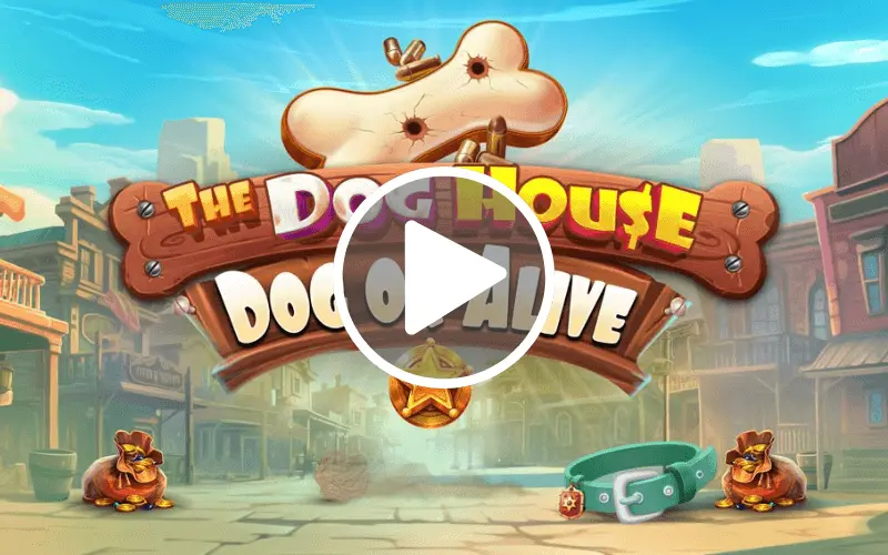 cele mai bune pacanele The Dog House - Dog or Alive 