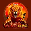 The Wild Life Gratis Demo Online