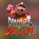 Dwarf and Dragon Joc Demo Online