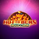 Hot To Burn Multiplier Gratis Demo Online