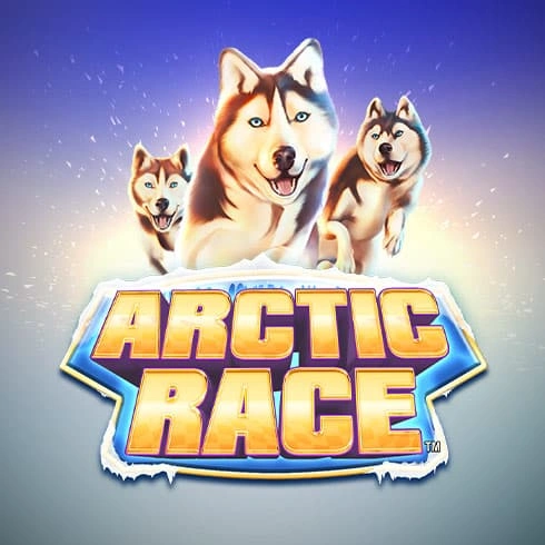 Arctic Race Demo Gratis Online