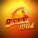 Burning Wild Gratis Demo Online