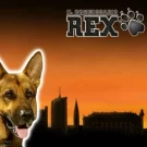 Rex Demo Gratis Online