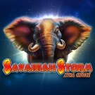 Savannah Storm Xtra Choice Demo Gratis Online