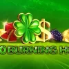 Activează 150% Bonus până la 500 RON + 100 Rotiri Gratuite la NetBet