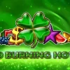 Activează 50 Rotiri Gratuite și obține și șansa de a câștiga 200 RON Cash la NetBet