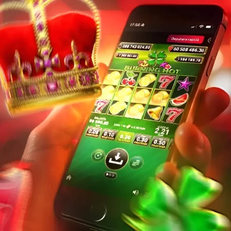 Activează până la 650 Rotiri Gratuite în fiecare zi la MaxBet