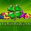 Rulează 20 RON la NetBet și câștigi 50 Rotiri Gratuite la 40 Burning Hot