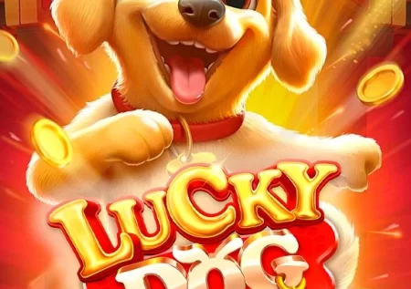 Lucky Dog Demo