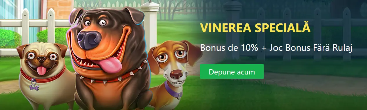 Speciala de 300 RON la WinBet