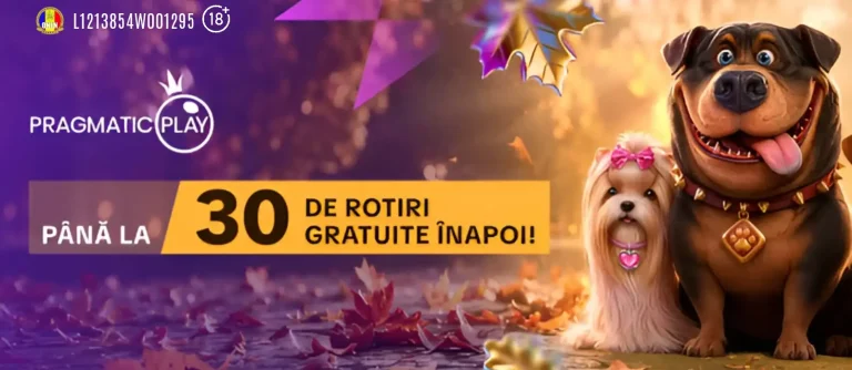 Oferta ReSpin Your Fortune de la Mr Bit îți asigură pierderile cu până la 30 Rotiri Gratuite pe 5 lei