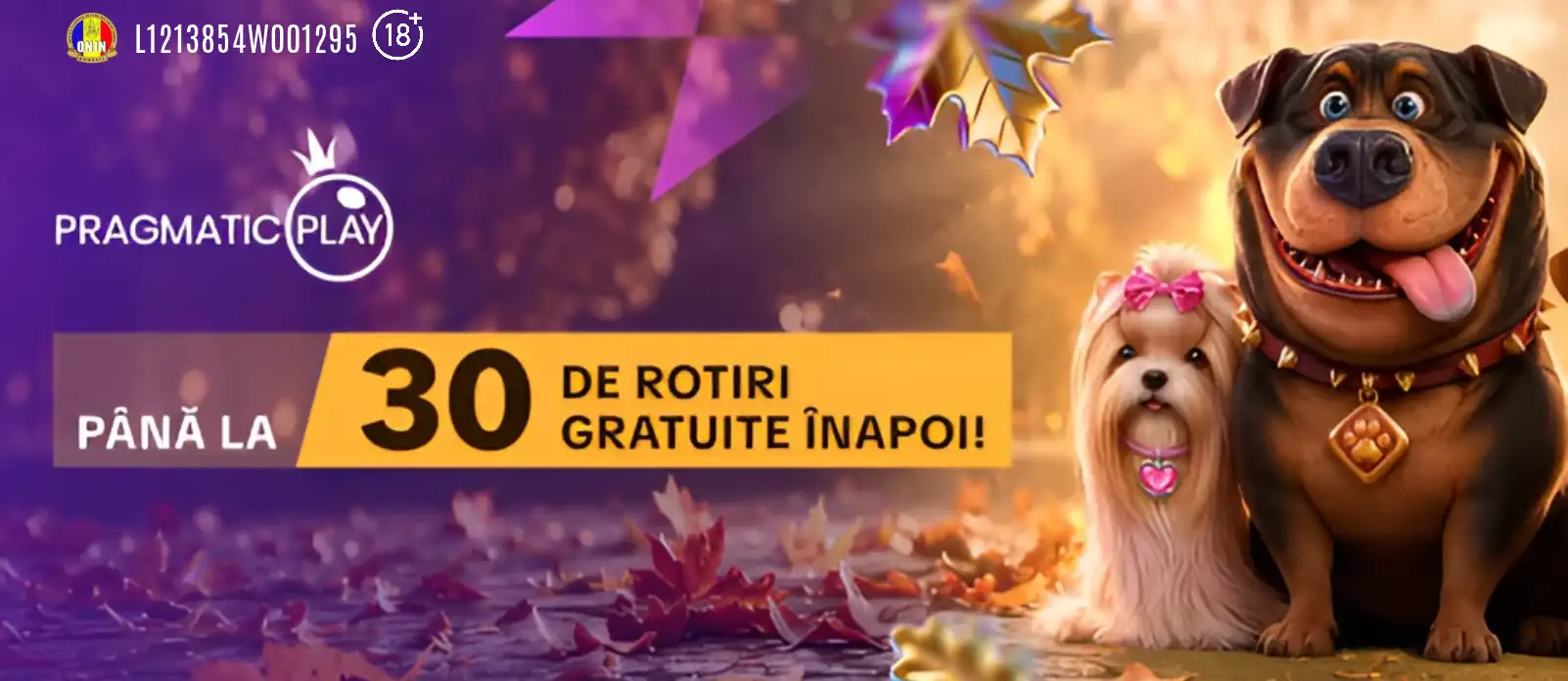 Oferta ReSpin Your Fortune de la Mr Bit îți asigură pierderile cu până la 30 Rotiri Gratuite pe 5 lei